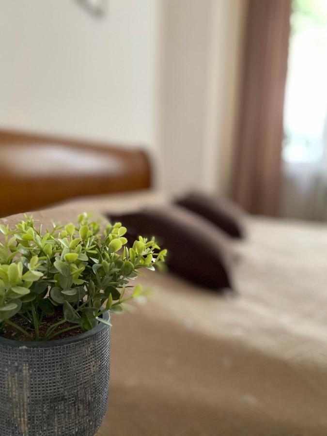 Family Apartment Lwów Zewnętrze zdjęcie